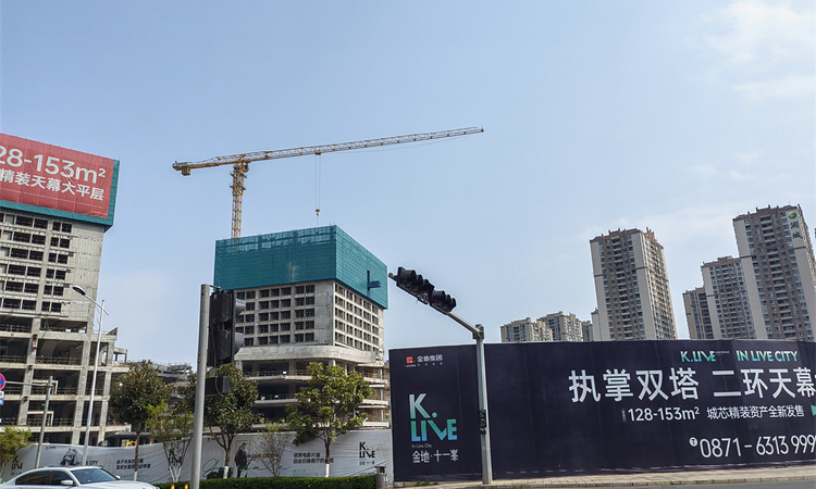 金地十一峯施工进度图
