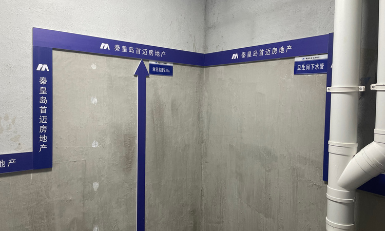 首迈·悦龙庭样板间