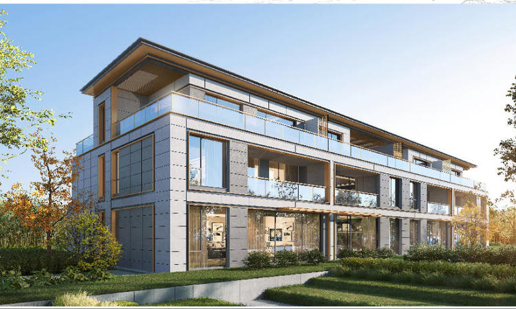 绿城宸庐实景图