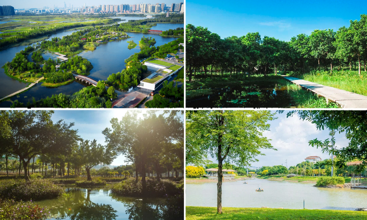 三亚天雅阁周边配套图