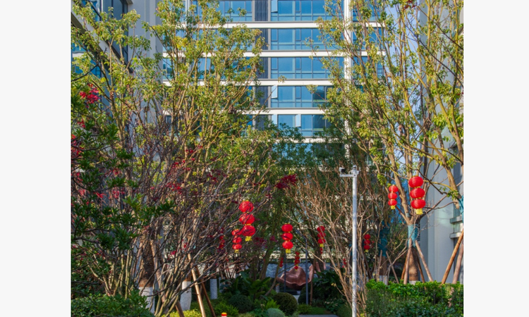 万象春樾和景园实景图