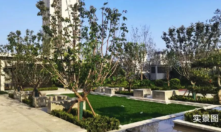 梁山香溪湾实景图