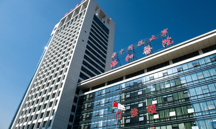 香港置地·金地·峯璟周边配套图