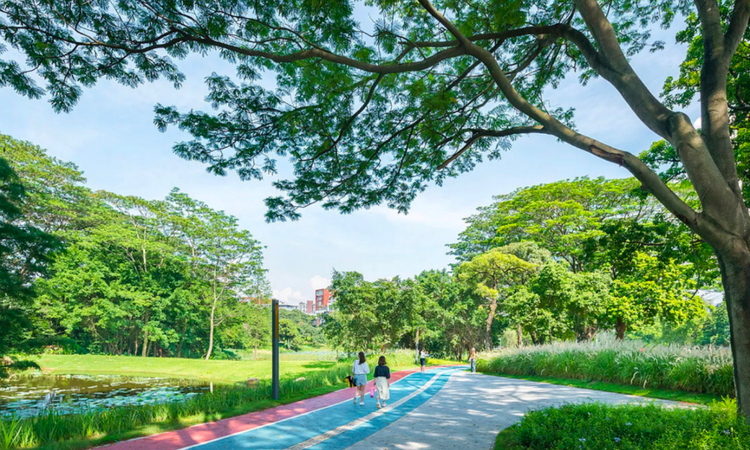 保利锦上实景图