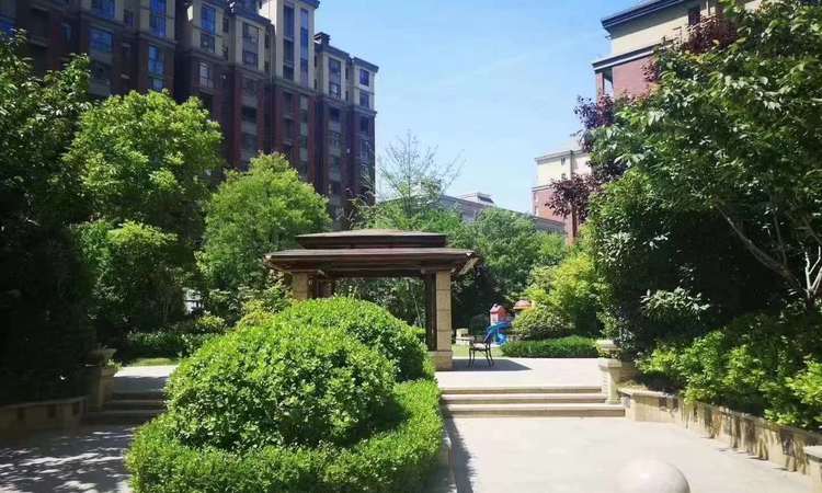 丽景上品3期实景图