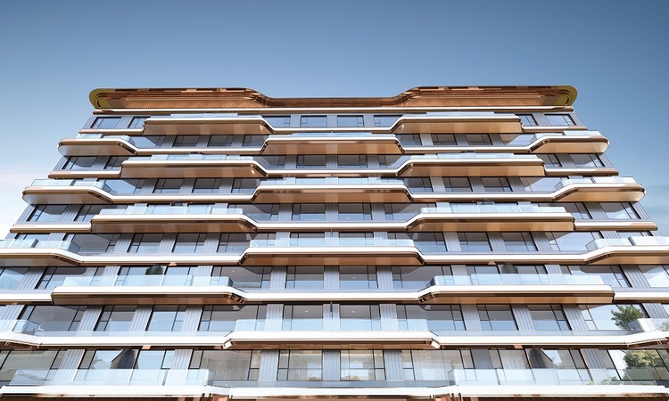 大兴发展·梧桐府效果图