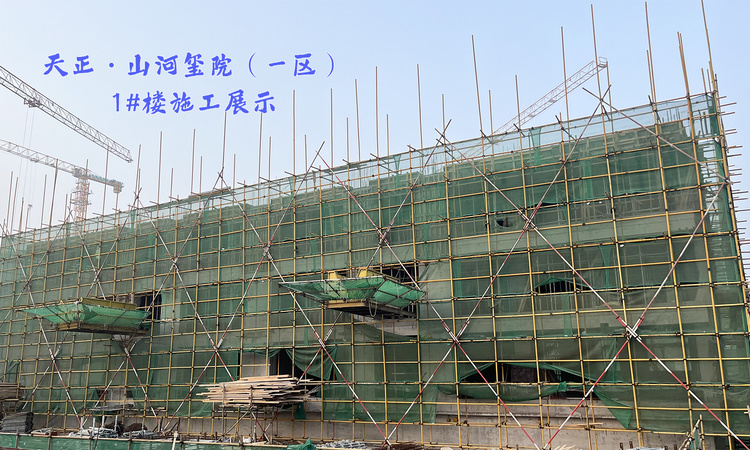 天正·山河玺院施工进度图