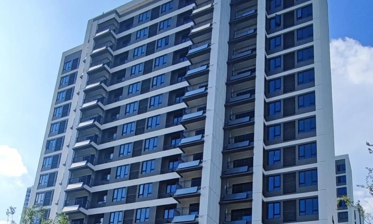 保利星河九洲施工进度图