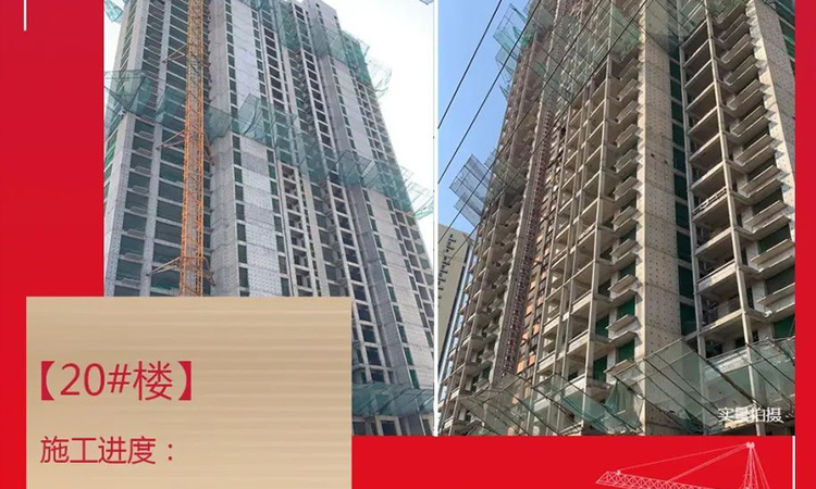 温莎花园施工进度图