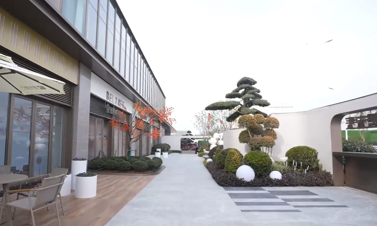 新华星耀学府实景图