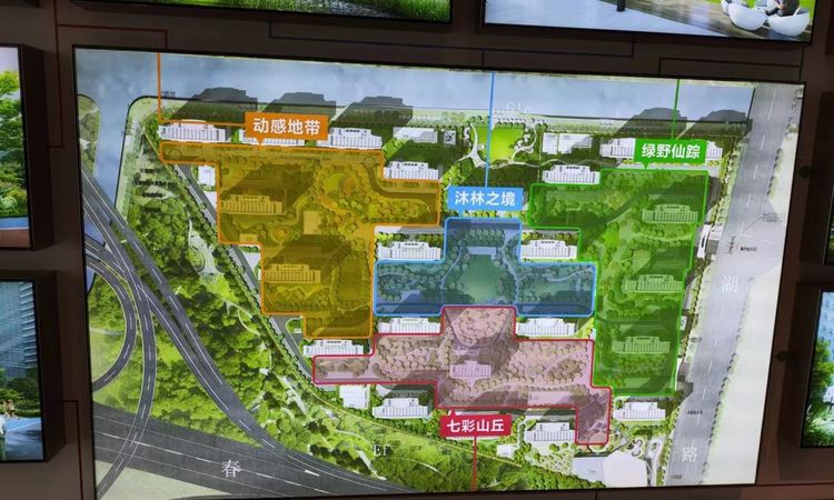 和颂雅苑实景图