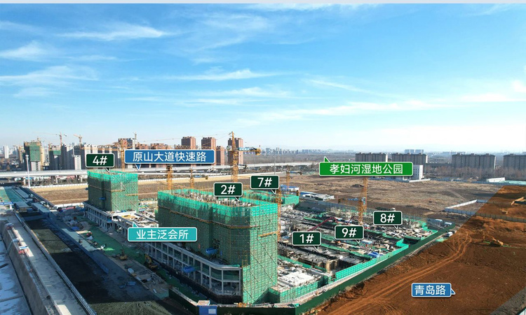 鼎成·森林星玥施工进度图