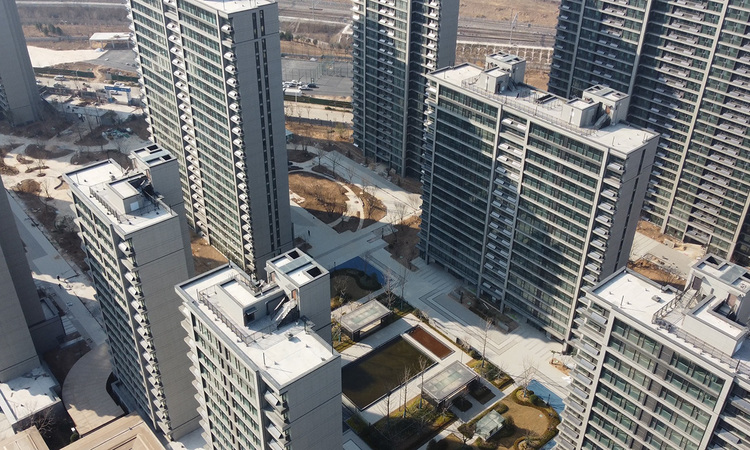 杨柳春风施工进度图