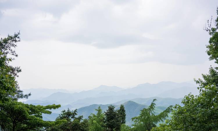 鑫都森林山周边配套图