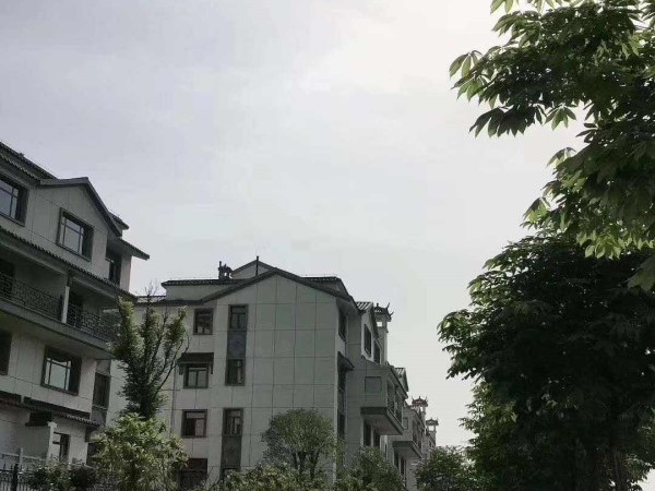 仙逸兰亭实景图