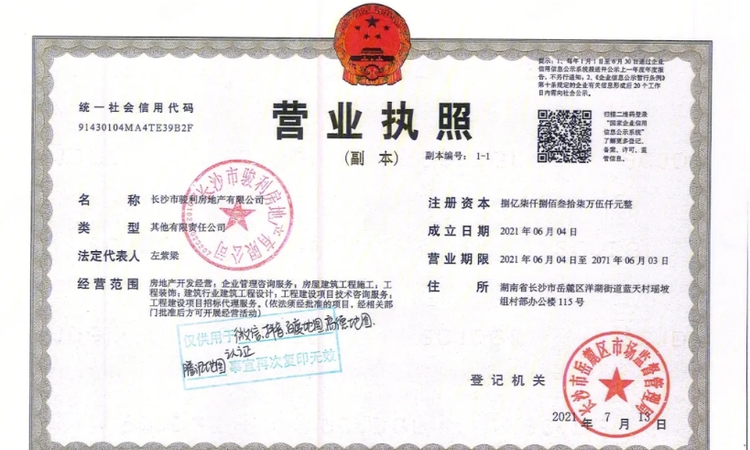 国宸府|旭辉·龙光·金地商置楼盘证照