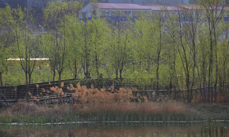 桃源漫步天境周边配套图