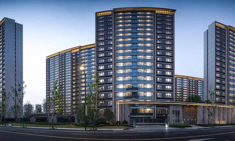 桐乡置地中心实景图