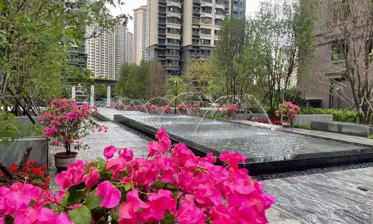 秦皇半岛·六区实景图