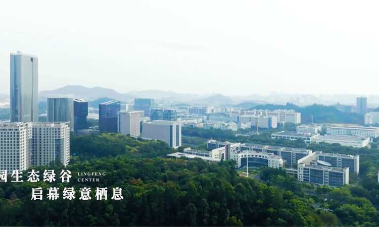 领峯中心实景图
