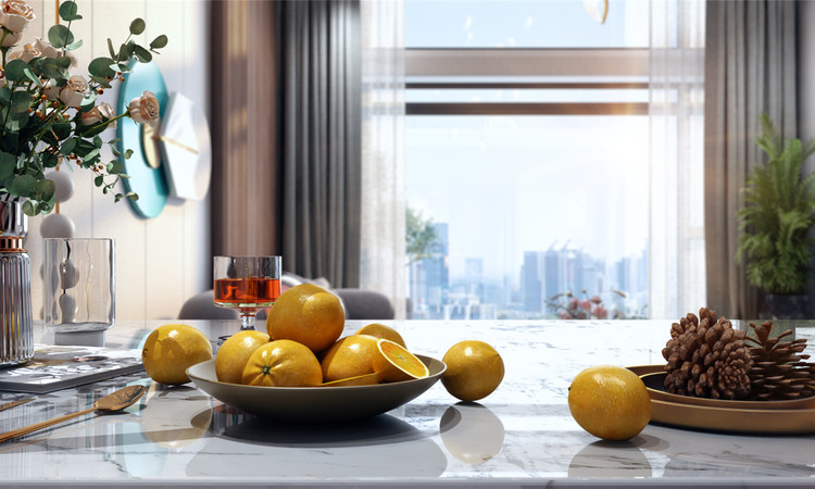 国厦熙园TX16样板间