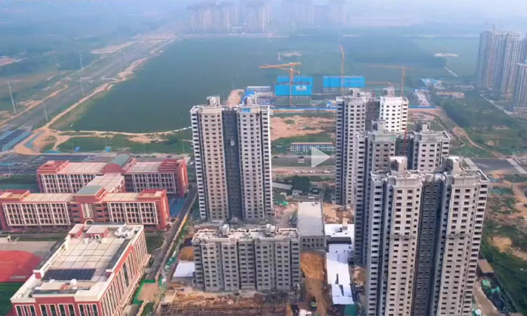 隆泽园施工进度图