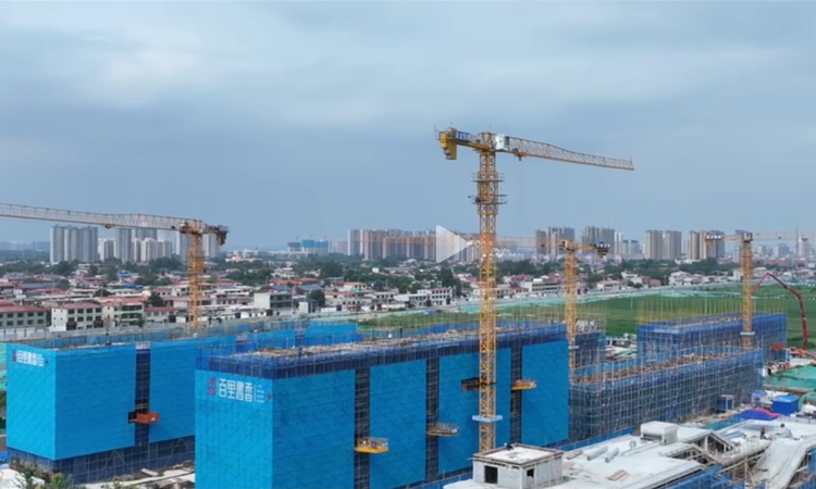 泽龙·百里书香施工进度图