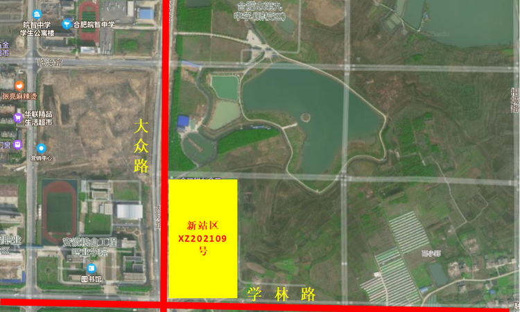 光合森林交通图