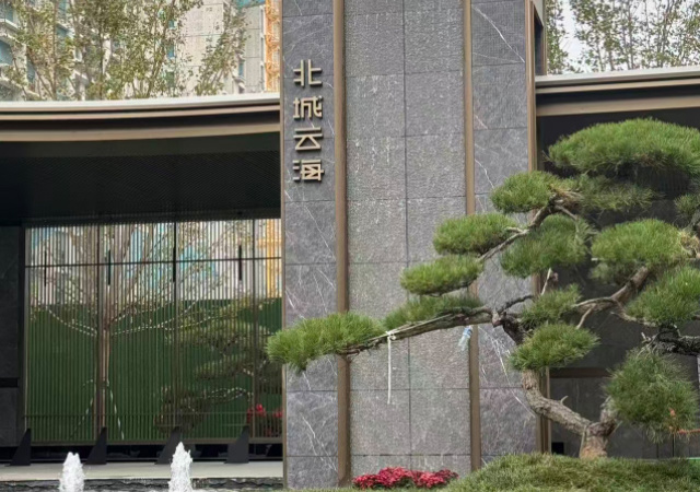 北城云海实景图