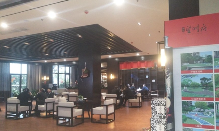 澳海望洲府实景图