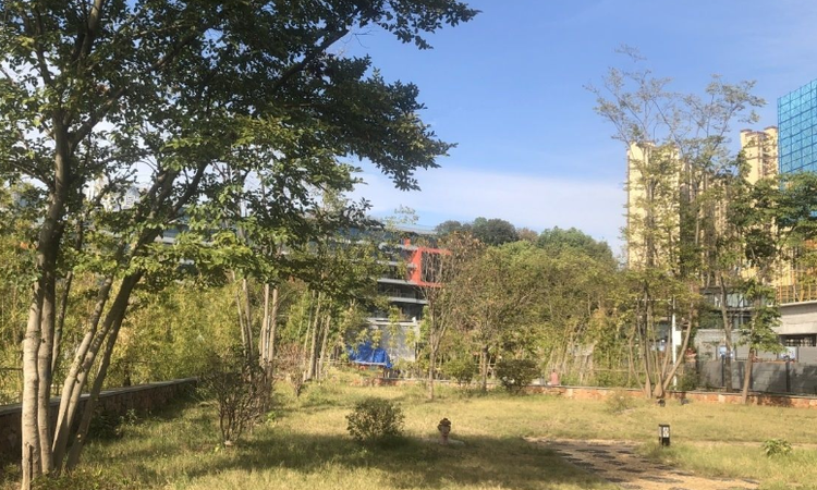 绿城凤起麓鸣周边配套图