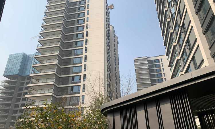 梦想麓隐桐溪施工进度图