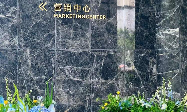 华润中海观山嶺湖实景图