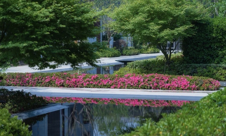 合肥中国铁建花语江南实景图