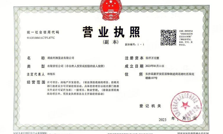 保利梅溪天珺楼盘证照