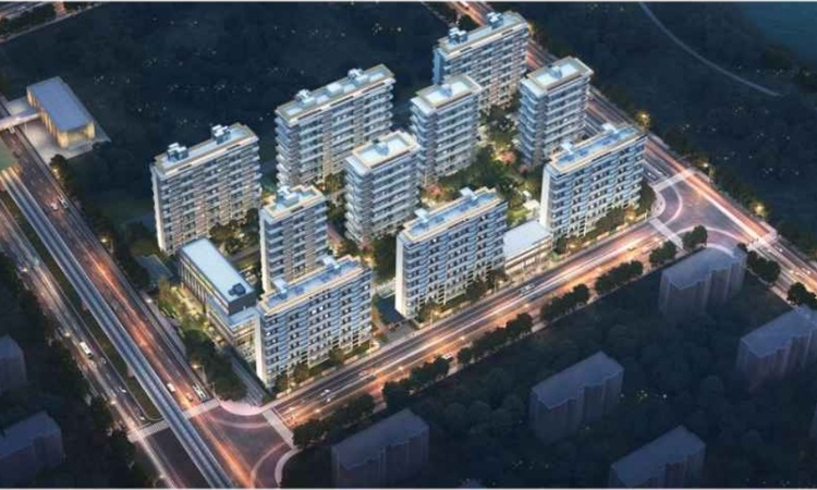 白桦林隐效果图