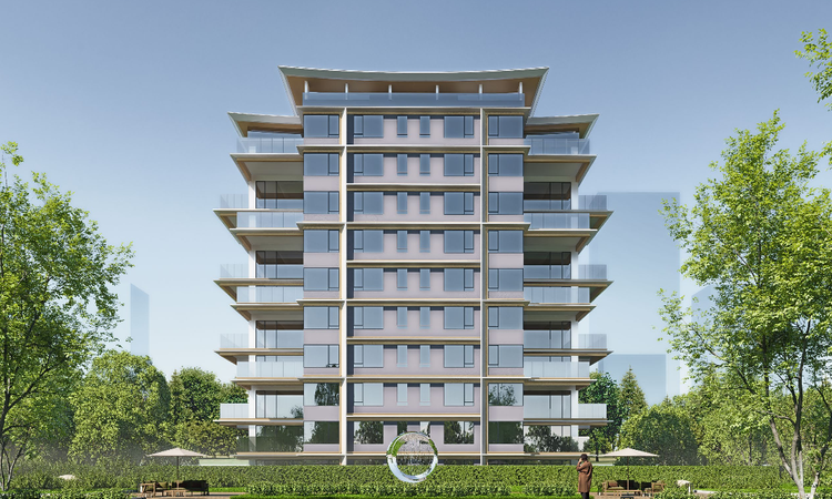 白桦林晓效果图