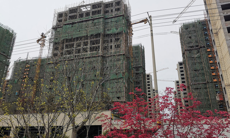 蓝海湾卡地亚·世家施工进度图