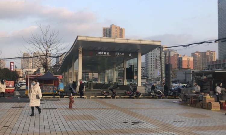 国欣向荣府施工进度图