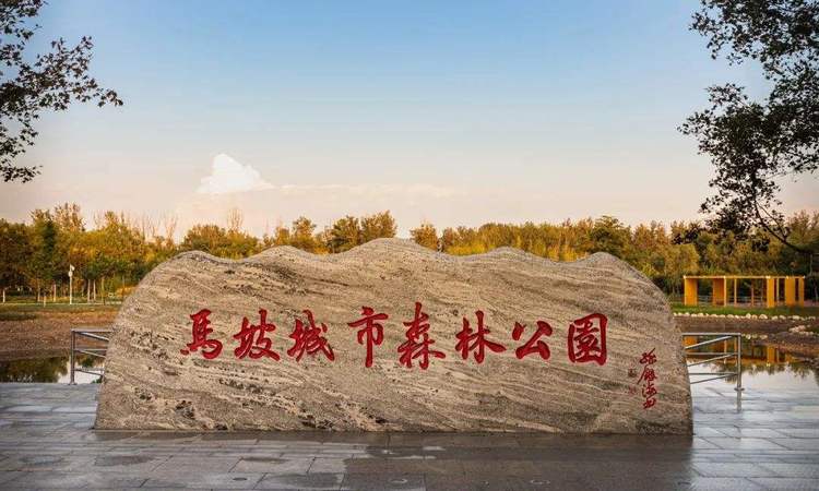 中建宸庐云起周边配套图