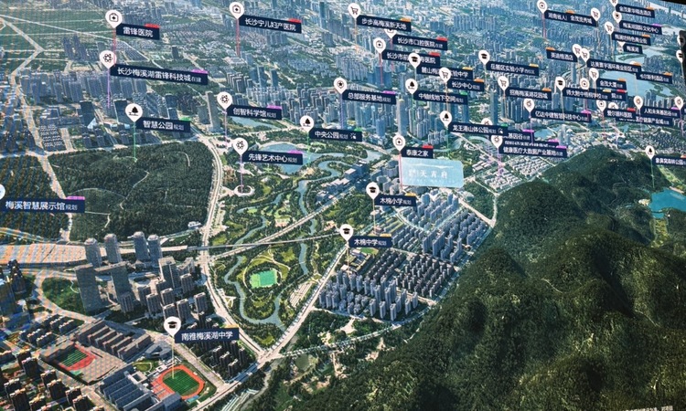 招商蛇口天青府交通图