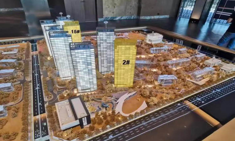 金泰·唐618实景图