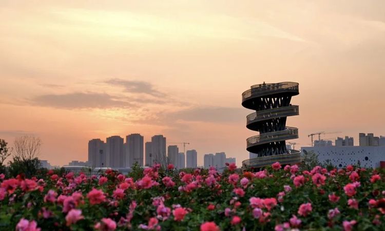 龙湖亚伦璟云上府周边配套图