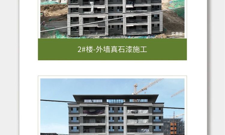 港龙·东望府施工进度图