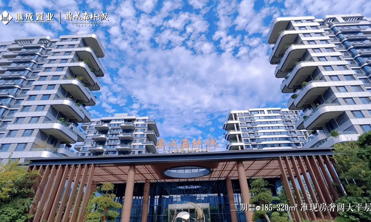 鼎成·森林城实景图