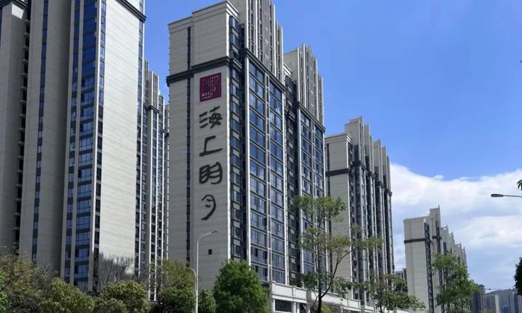 新盛·海上明月实景图