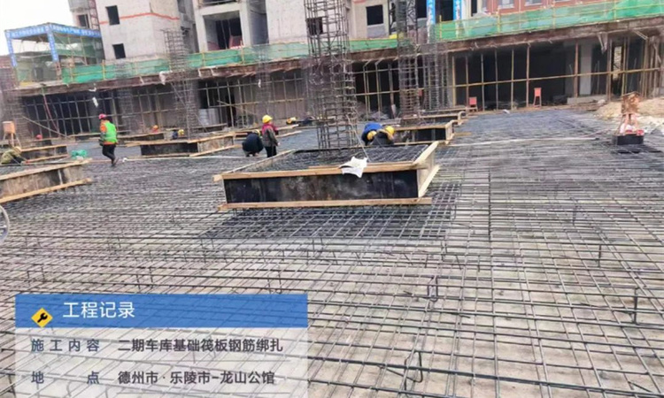 龍山公馆施工进度图