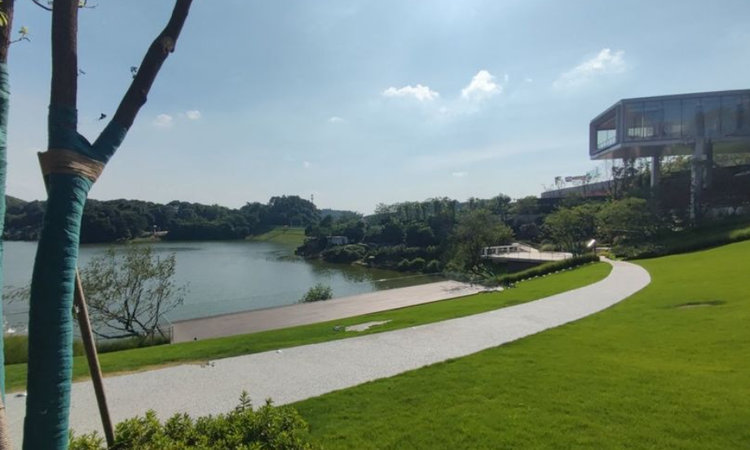 金地·湖山樾施工进度图