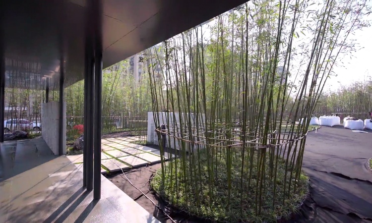 新东升之园实景图