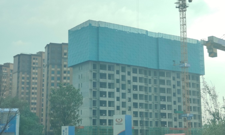 伴山雅著实景图